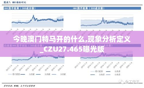 今晚澳门特马开的什么,现象分析定义_CZU27.465曝光版