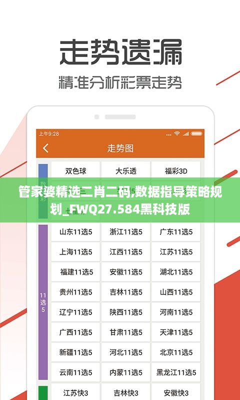 管家婆精选二肖二码,数据指导策略规划_FWQ27.584黑科技版