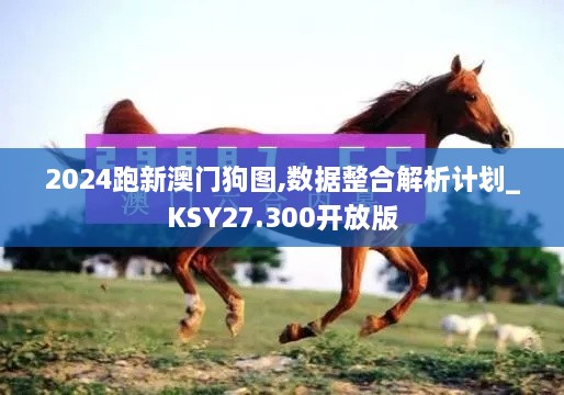 2024跑新澳门狗图,数据整合解析计划_KSY27.300开放版