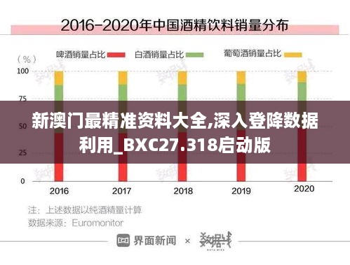 新澳门最精准资料大全,深入登降数据利用_BXC27.318启动版