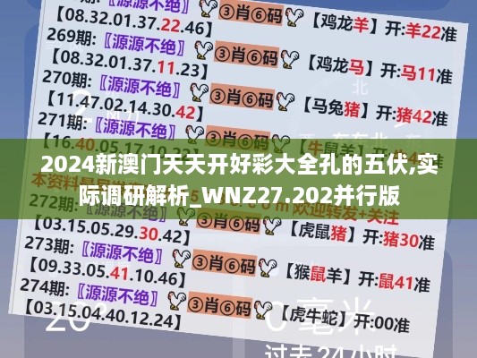 2024新澳门天天开好彩大全孔的五伏,实际调研解析_WNZ27.202并行版