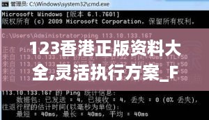 123香港正版资料大全,灵活执行方案_FNC27.404闪电版