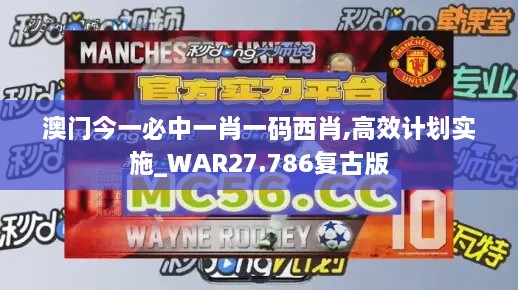 澳门今一必中一肖一码西肖,高效计划实施_WAR27.786复古版