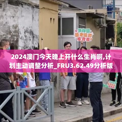 2024澳门今天晚上开什么生肖啊,计划主动调整分析_FRU3.62.49分析版