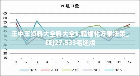 王中王资料大全料大全1,精细化方案决策_EEJ27.533毛坯版