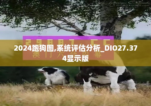 2024跑狗图,系统评估分析_DIO27.374显示版