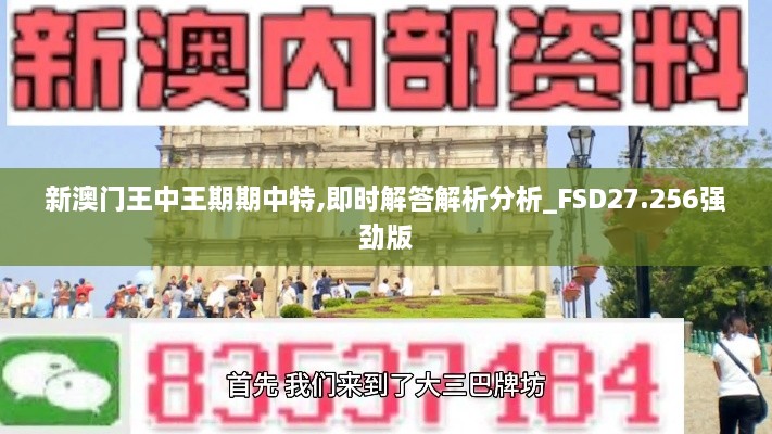 新澳门王中王期期中特,即时解答解析分析_FSD27.256强劲版