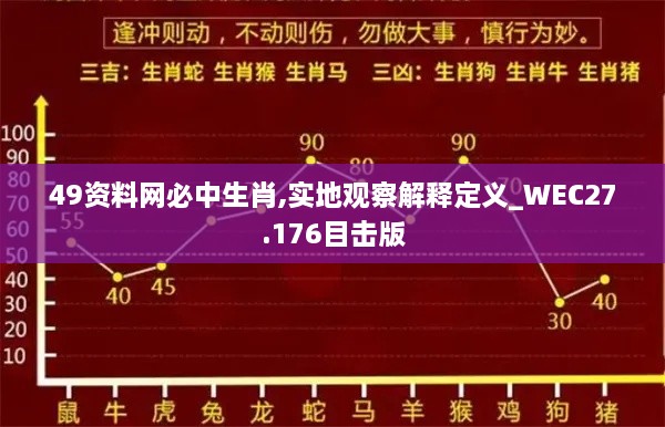 49资料网必中生肖,实地观察解释定义_WEC27.176目击版