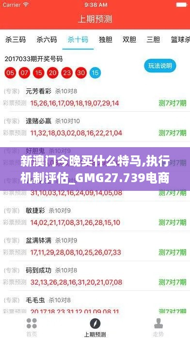 新澳门今晚买什么特马,执行机制评估_GMG27.739电商版