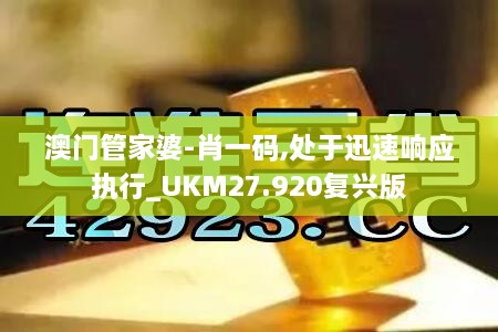 澳门管家婆-肖一码,处于迅速响应执行_UKM27.920复兴版