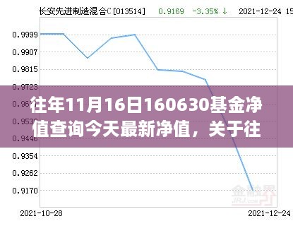 往年11月16日基金净值及今日最新净值报告详解