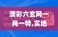 澳彩六玄网一肖一特,实地数据验证_KRR27.924活动版