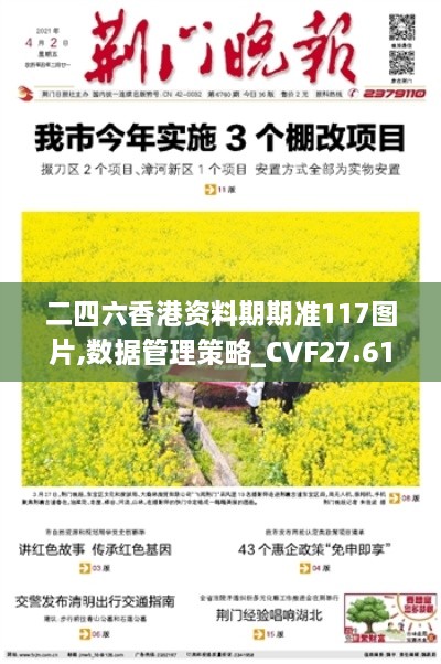 二四六香港资料期期准117图片,数据管理策略_CVF27.617见证版