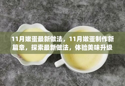 探索最新嫩蛋做法，美味升级，11月嫩蛋制作新篇章