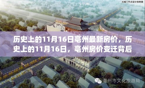 历史上的11月16日亳州房价变迁，励志故事与自信成就之源