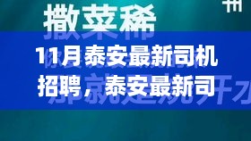 泰安最新司机招聘启事，与自然美景同行，寻求内心的宁静与平和