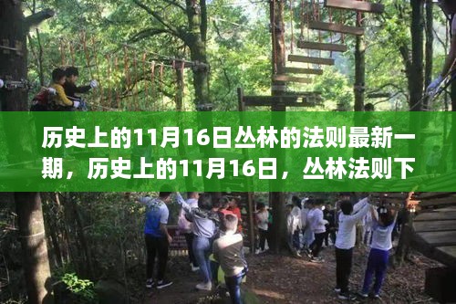 历史上的11月16日丛林法则生存挑战最新一期深度解析与探讨