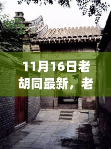 老胡同新发现，探寻心灵平静的奇妙之旅纪实分享（11月16日最新）