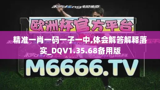 精准一肖一码一子一中,体会解答解释落实_DQV1.35.68备用版