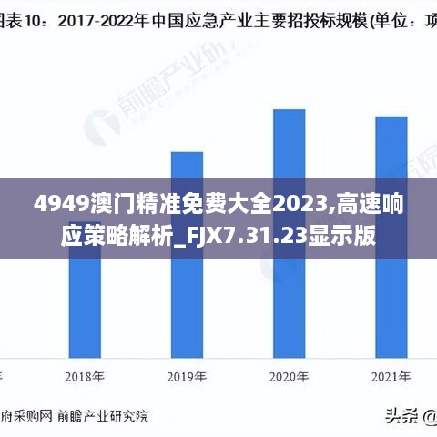 4949澳门精准免费大全2023,高速响应策略解析_FJX7.31.23显示版