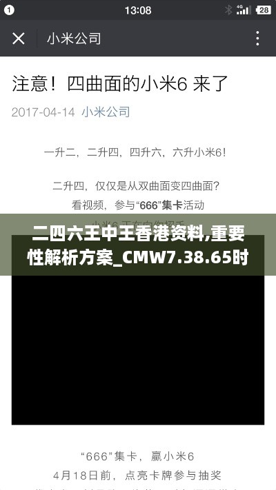 二四六王中王香港资料,重要性解析方案_CMW7.38.65时空版