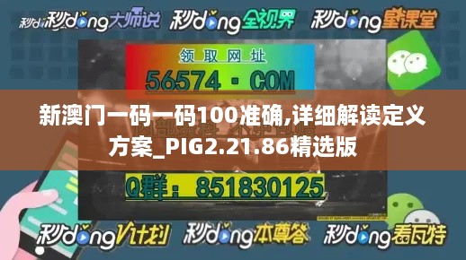 新澳门一码一码100准确,详细解读定义方案_PIG2.21.86精选版