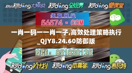 一肖一码一一肖一子,高效处理策略执行_QJY8.24.60防御版