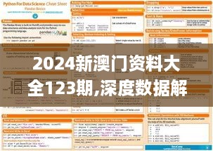 2024新澳门资料大全123期,深度数据解析设计_RWI9.63.81高效版