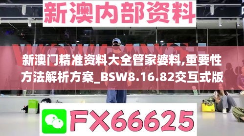 新澳门精准资料大全管家婆料,重要性方法解析方案_BSW8.16.82交互式版