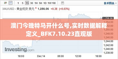 澳门今晚特马开什么号,实时数据解释定义_BFK7.10.23直观版