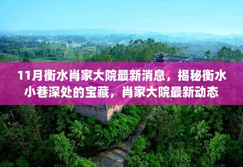 揭秘衡水小巷深处的宝藏，肖家大院最新动态与消息速递