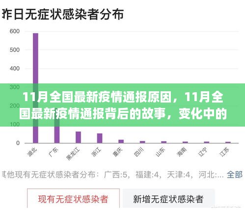 11月全国最新疫情通报背后的故事，变化中的学习与自信成就之源