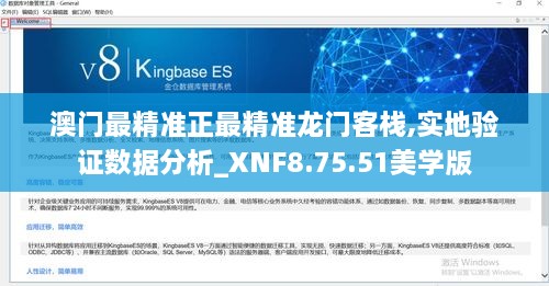 澳门最精准正最精准龙门客栈,实地验证数据分析_XNF8.75.51美学版