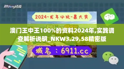 澳门王中王100%的资料2024年,实践调查解析说明_NKW3.29.58精密版