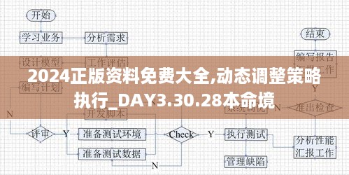 2024正版资料免费大全,动态调整策略执行_DAY3.30.28本命境