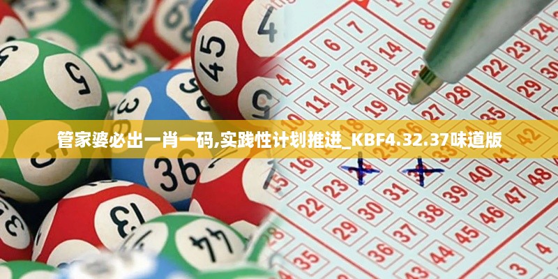 管家婆必出一肖一码,实践性计划推进_KBF4.32.37味道版