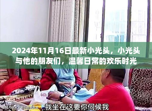 小光头与他的朋友们，温馨日常的欢乐时光（2024年11月16日最新）