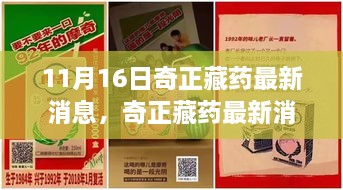 初告白 第13页