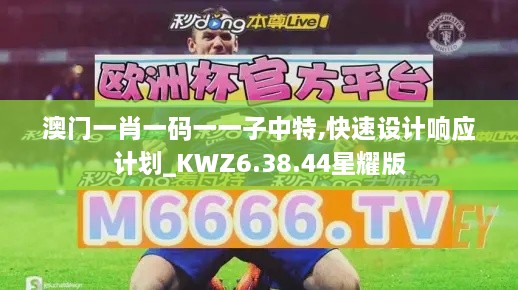 澳门一肖一码一一子中特,快速设计响应计划_KWZ6.38.44星耀版