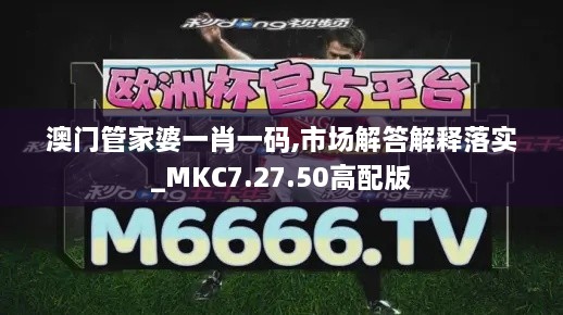 澳门管家婆一肖一码,市场解答解释落实_MKC7.27.50高配版