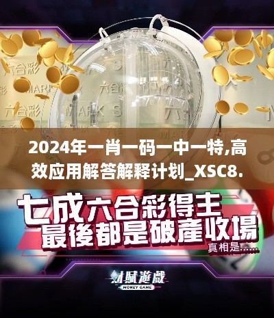 2024年一肖一码一中一特,高效应用解答解释计划_XSC8.44.79改制版