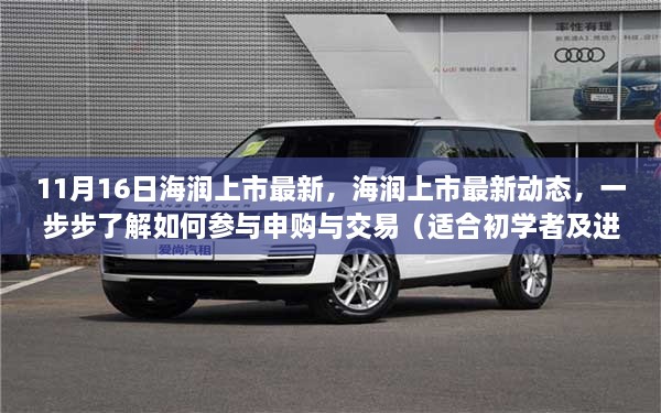 海润上市最新动态详解，如何参与申购与交易（初学者与进阶用户指南）