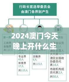 2024澳门今天晚上开什么生肖啊,实地验证解析数据_GRJ2.80.65世界版