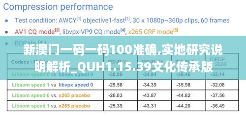 新澳门一码一码100准确,实地研究说明解析_QUH1.15.39文化传承版