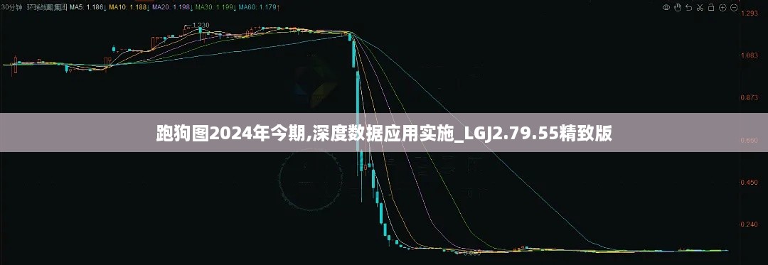 跑狗图2024年今期,深度数据应用实施_LGJ2.79.55精致版