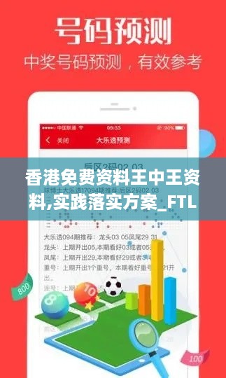 香港免费资料王中王资料,实践落实方案_FTL1.29.47天然版