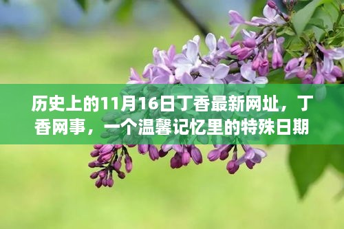 温馨记忆重现，历史上的丁香网事在11月16日的新网址