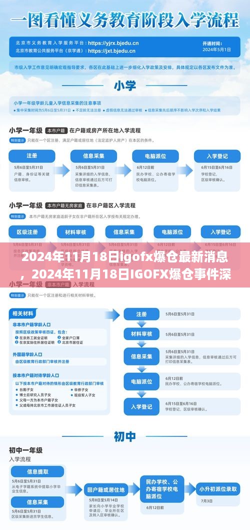 独家解析，IGOFX爆仓事件内幕与最新消息深度解读