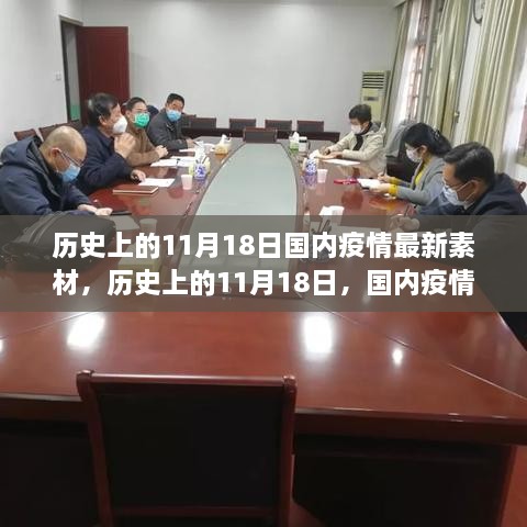 历史上的11月18日国内疫情影响深度观察与最新素材解析