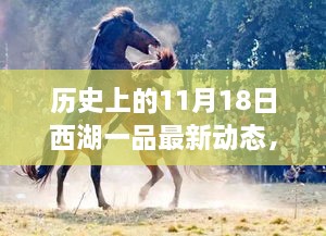 历史上的11月18日西湖一品最新动态揭秘，探索指南